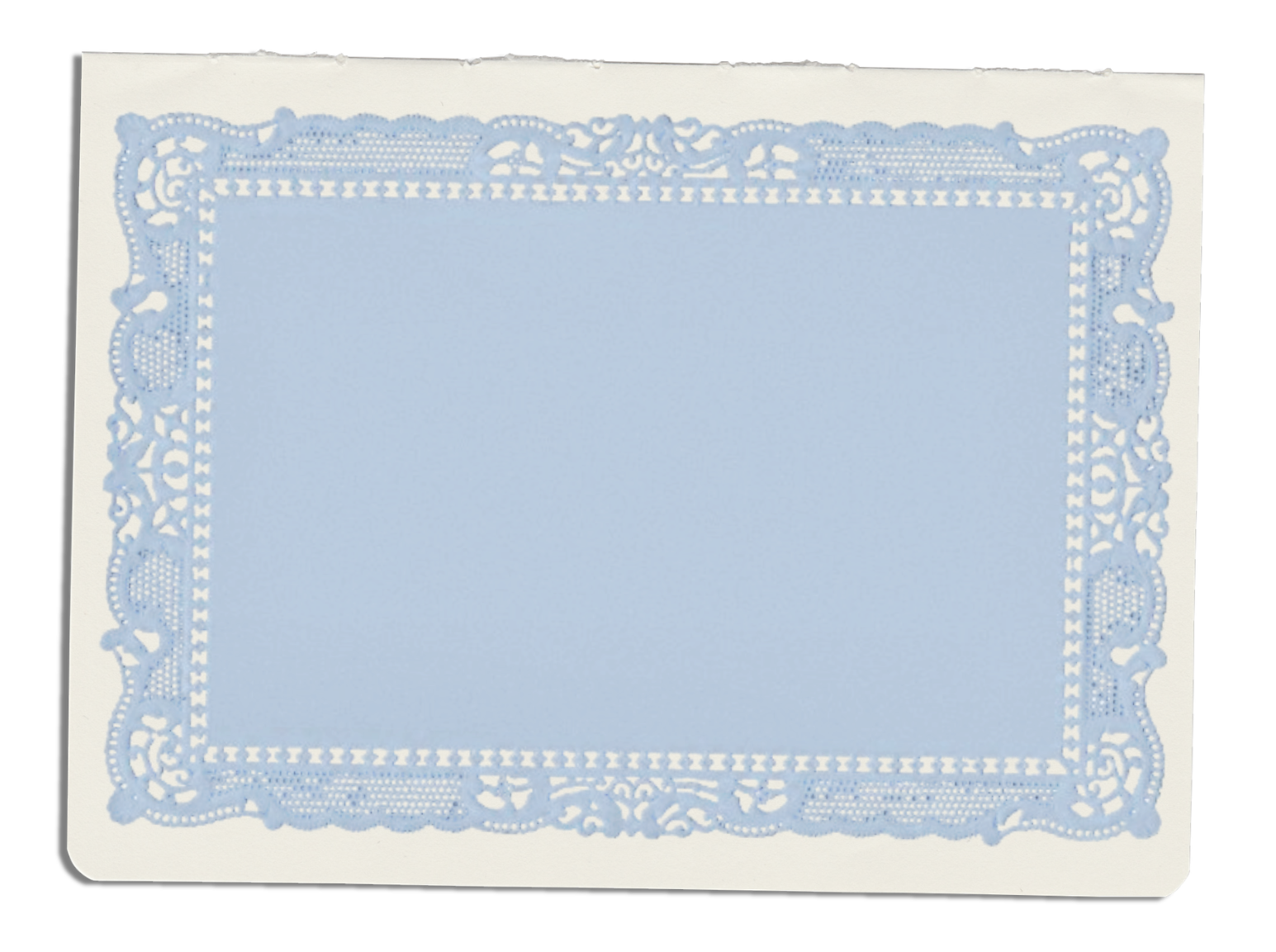 Portfolio background